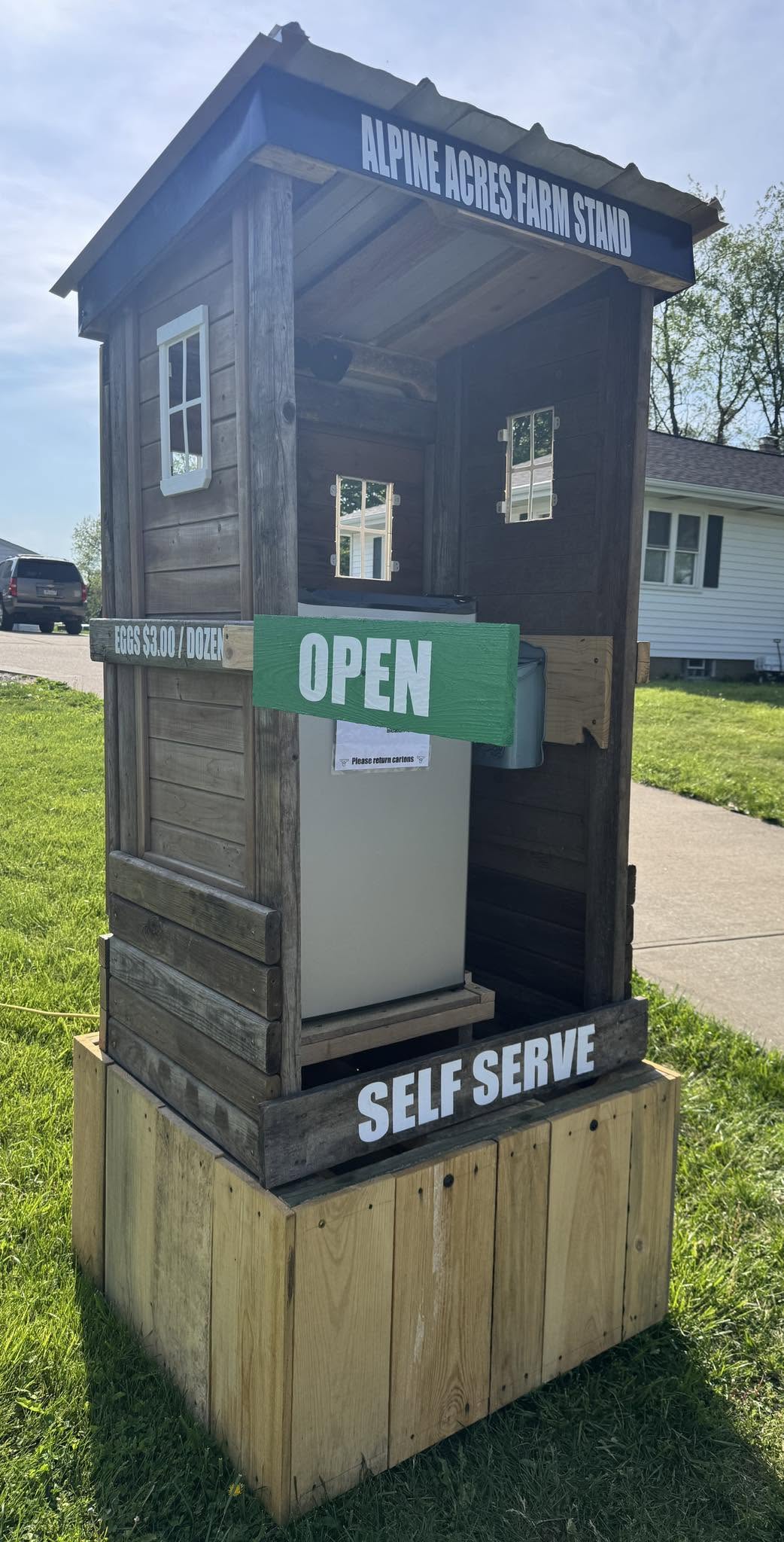 From Coop to Curb: The Simple Magic of the Roadside Egg Stand