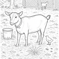Goat - Digital Coloring Page