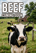 Beef