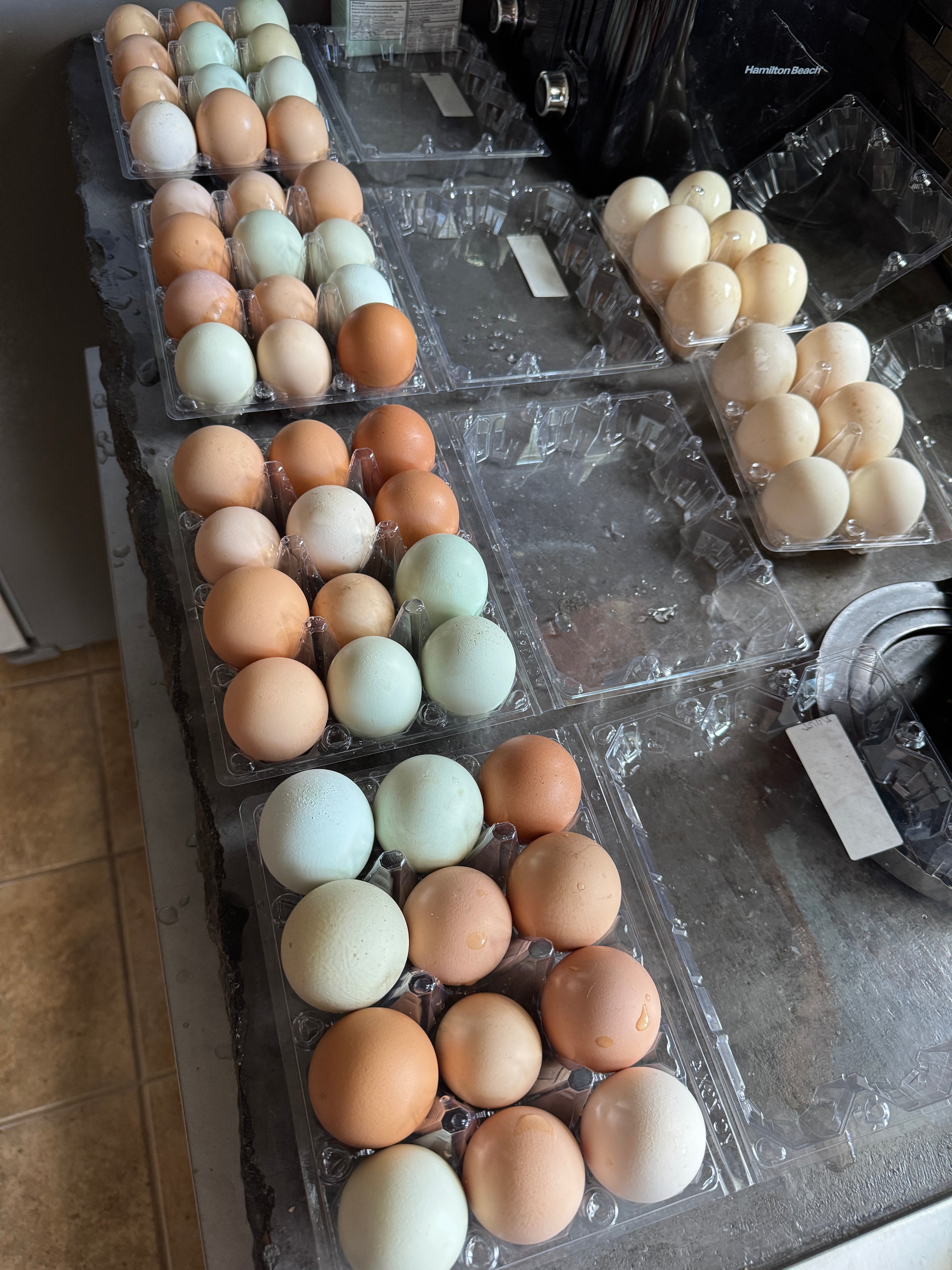 Eggs